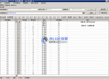 蓝海变量查询工具（内测卡密激活）BLUE引擎专用变量秒查询。