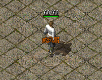 吸金脚本-魂骨（非合击版）